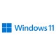 Microsoft Windows 11 Pro 1 licencia(s) - FQC-10528